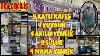 Muhabbet Kuşu Üretim Kafesi Full Set & Bor Ticaret Dev Çekiliş 2021