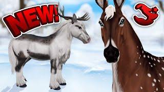 BEST NEW Winter Magic Horses EVER!!! - Star Stable Spoilers