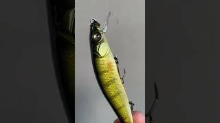 Megabass Vision 110