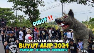 RIBUT ‼️ Arak arakan buyut alip 2024 Pilangsari Jatibarang Indramayu