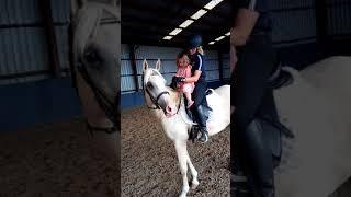 Palomino Horse Doing Dressage and Riding With Adult Then Child