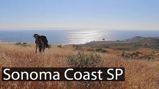 HIKE WITH ME! Red Hill at Sonoma Coast State Park