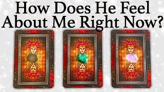 WHAT DOES HE/SHE THINK AND FEEL ABOUT ME RIGHT NOW?| Pick A Card | Love Tarot Reading (Timeless)