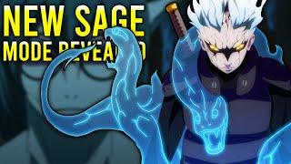 Mitsuki's NEW Sage Mode REVEALED?!