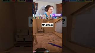 Counter-Strike 2 NA Donk?