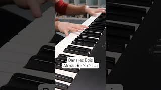 Dans les Bois - Alexandra Stréliski   #shortfeed #shorts #pianoshorts