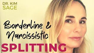 "SPLITTING" IN BORDERLINE AND NARCISSISTIC PERSONALITY DISORDER :  WHAT IT DOES TO US IN CHILDHOOD