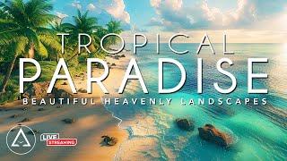 Tropical Paradise DRONE FOOTAGE HD - Beautiful Beach & Island Landscapes Footage HD