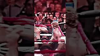 Tommy Morrison Brutal Knockout vs Ray Mercer #boxing #shorts #viral