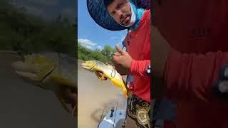 Sergio Aguero to set free a Fish️ | #short #sergioagüero #fishing