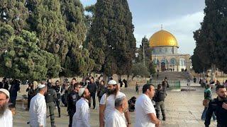 Group of Jewish people tours Jerusalem's al-Aqsa mosque compound | AFP