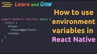 How to use environment variables in React Native