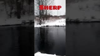 Sherp Пирожок Вездеход!Ура на рыбалку через лес!