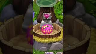 MAW AND FWOG FUSION!! #msm #mysingingmonsters #fusion