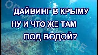 МАРШРУТ ПОГРУЖЕНИЯ "БЕЛЫЙ КАМЕНЬ" ДАЙВИНГ В КРЫМУ.