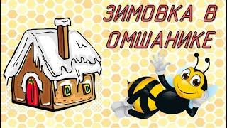 Заносим пчел в омшаник/зимовник/сарай. Носилки для ульев. Как зимуют пчелы?