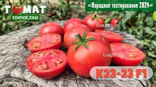 Оказывается, магазинные помидоры могли бы быть с нормальным вкусом! Томат K23-23 F1