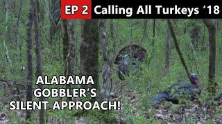 HE CAME IN SILENT! Public Land Turkey Hunting In Alabama - Calling All Turkeys