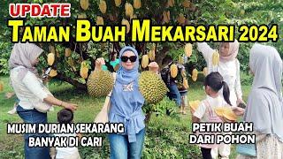 KONDISI TAMAN BUAH MEKARSARI TERKINI TAHUN 2024 | PANEN DURIAN | PILIHAN WISATA LIBURAN BOGOR