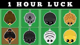 ULTIMATE 1 HOUR LUCK CHALLENGE in MOPE.IO AFTER NEW UPDATE !!