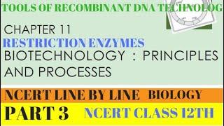 PART-3 TOOLS OF RECOMBINANT DNA TECHNOLOGY-RESTRICTION ENZYMES||CHAPTER 11 NCERT CLASS 12TH BIOLOGY