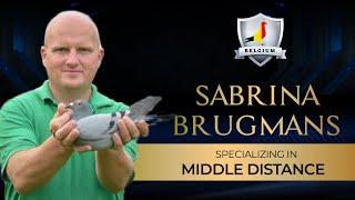 SABRINA BRUGMANS PIGEON LOFT TOUR (2023)