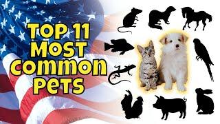 Top 11 Most Common Pets in America