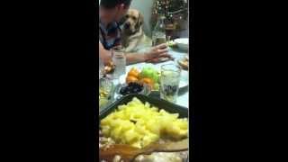 Чирко - фокусник!!!