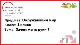 1 класс. Окружающий мир. Зачем мыть руки ?