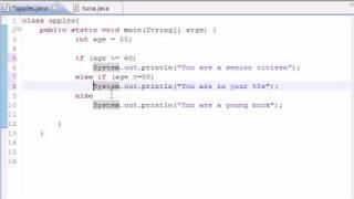 Java Programming Tutorial - 19 - else if Statement