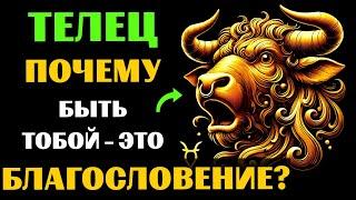 30 ПРИЧИН ПОЧЕМУ БЫТЬ ТЕЛЬЦОМ - ЭТО БЛАГОСЛОВЕНИЕ. ЗНАЧЕНИЕ ЗНАКА ЗОДИАКА ОВЕН. #телец