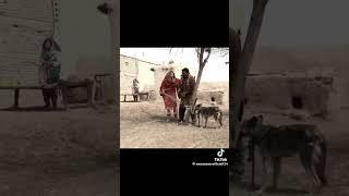 Noor nazeer you tv funny video Koko #viralshort #funny #youtubeshorts #myvideo #skits #coolvideo