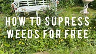 How To Suppress Weeds For Free - Gardening On A Budget | English Rose Garden