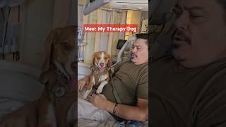 THERAPY Dog Visits VA Hospital #nursetlc #therapydog #anxietyrelief