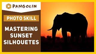 Sunset Photo Tips