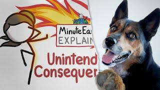 Unintended Consequences | MinuteEarth Explains