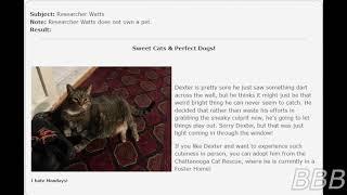 SCP 3867   Sweet Cats & Perfect Dogs!