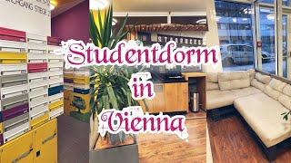 Room tour//Где я живу?//общежития в Вене//STUWO SEESTADT