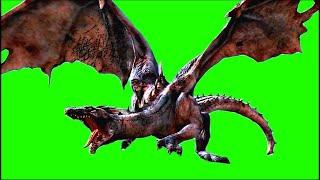 Dragon Green Screen Effect 4K Free