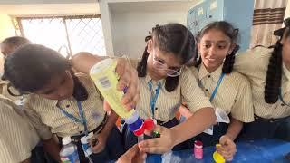 మా School లో ఈ రోజు science fair జరిగింది friends || Nenu mi ammulu new video