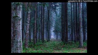 Forest Psytrance Mix End Of July 2020