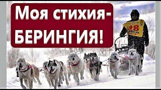 Берингия 2020 \ Фильм о гонке на собачьих упряжках \ Камчатка 2020 \ Моя стихия - Берингия