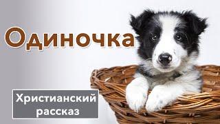  Одиночка - ИНТЕРЕСНЫЙ ХРИСТИАНСКИЙ РАССКАЗ | Христианские рассказы