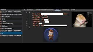 Hamster Kombat официально видит ваши IP адреса и логирует! Будьте осторожны, защититесь от этого!