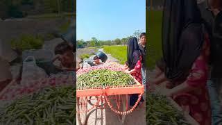 #preetichauhan #dance vlog #shortsvideo #subscribe mee#