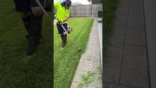 Satisfying Lawn Mowing with Tim The Lawnmower Man #lawns #mowing #tools #lawnmower #mowrator