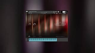 Continuo Guitars Demo Presets