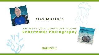 Alex Mustard Part 1 - Underwater Photography