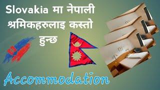 Slovakia मा नेपाली श्रमिक लाई कस्तो हुन्छ आवास || accommodation in Slovakia for nepalese workers