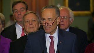 Schumer elected Senate Minority Leader